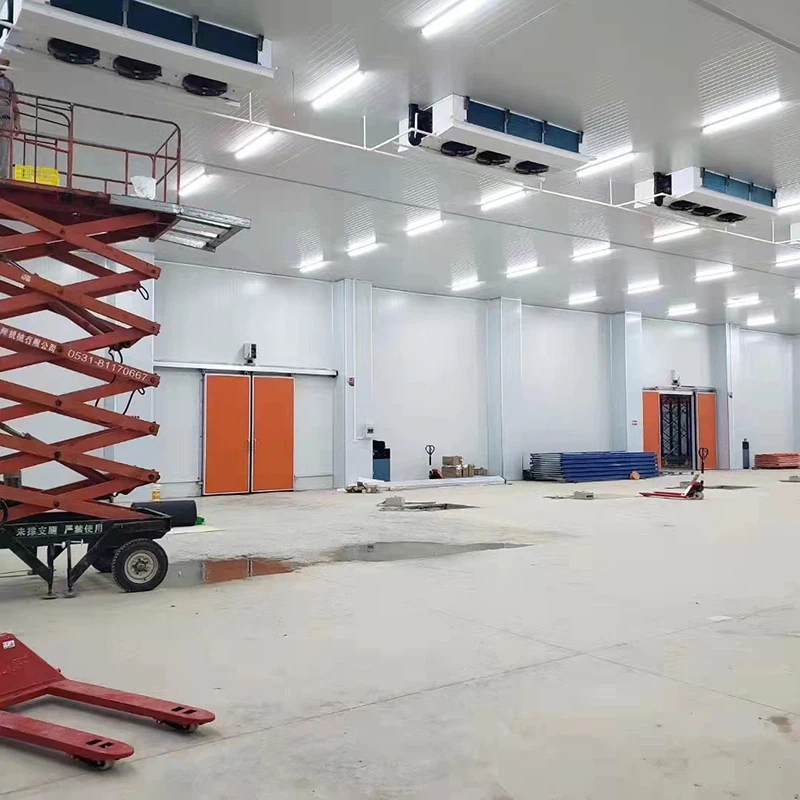 Logistics Cold Storage